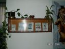 P_eds_l__-_s___tradic_28129.jpg