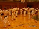 OKk_Panter_285329.jpg