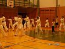 OKk_Panter_285429.jpg