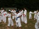 kemp_06_-_sparing_tr_nink_288929.jpg