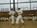Název souboru=Karate-ji__n_2003_040.jpg
Velikost souboru=345KB
Rozměry=2048x1536
Datum přidání=02. Říjen 2010 Karate-ji__n_2003_040.jpg
