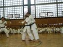 Název souboru=Karate-ji__n_2003_045.jpg
Velikost souboru=467KB
Rozměry=2048x1536
Datum přidání=02. Říjen 2010 Karate-ji__n_2003_045.jpg